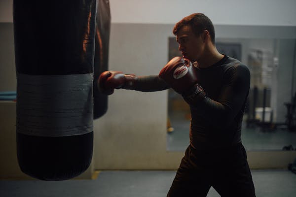 Boxer